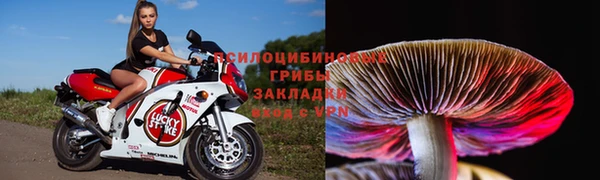 гашик Белокуриха