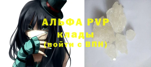 гашик Белокуриха