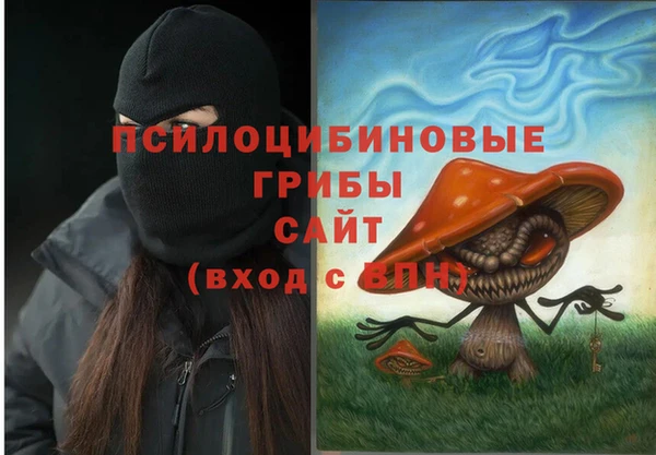 гашик Белокуриха