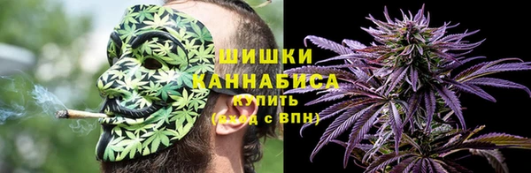 гашик Белокуриха
