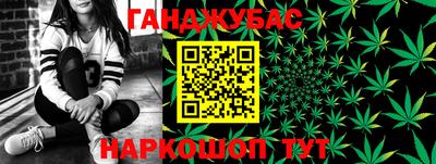 прущие грибы Бийск
