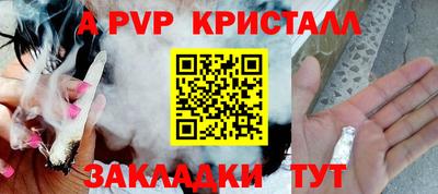 прущие грибы Бийск