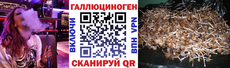 Галлюциногенные грибы MAGIC MUSHROOMS  KRAKEN ссылки  Видное 