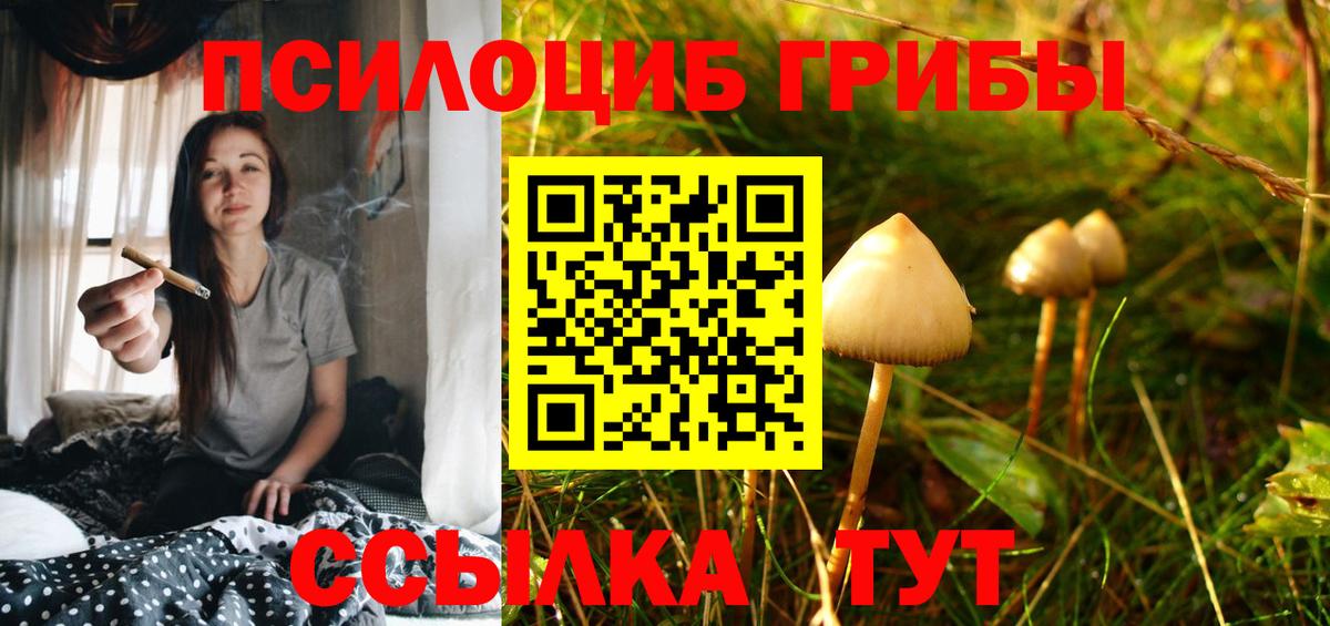 Галлюциногенные грибы мицелий  Видное 