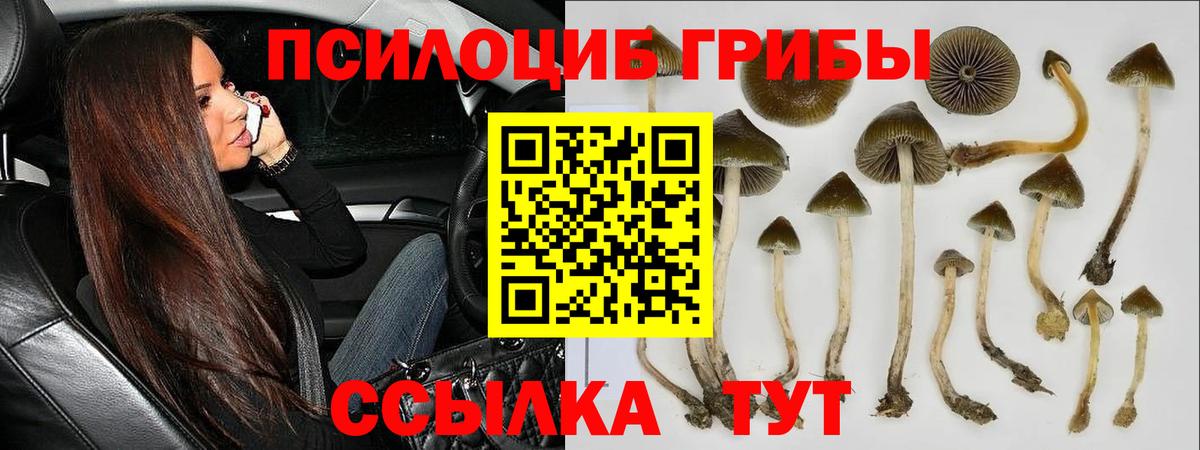 Галлюциногенные грибы ЛСД  Вход с VPN  Видное 